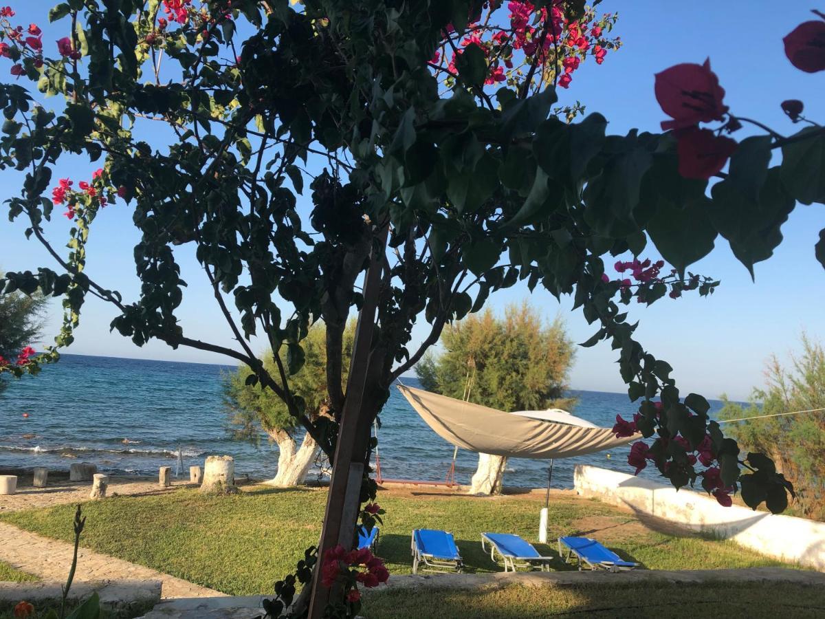 Diomare Villas Κυψέλη Εξωτερικό φωτογραφία