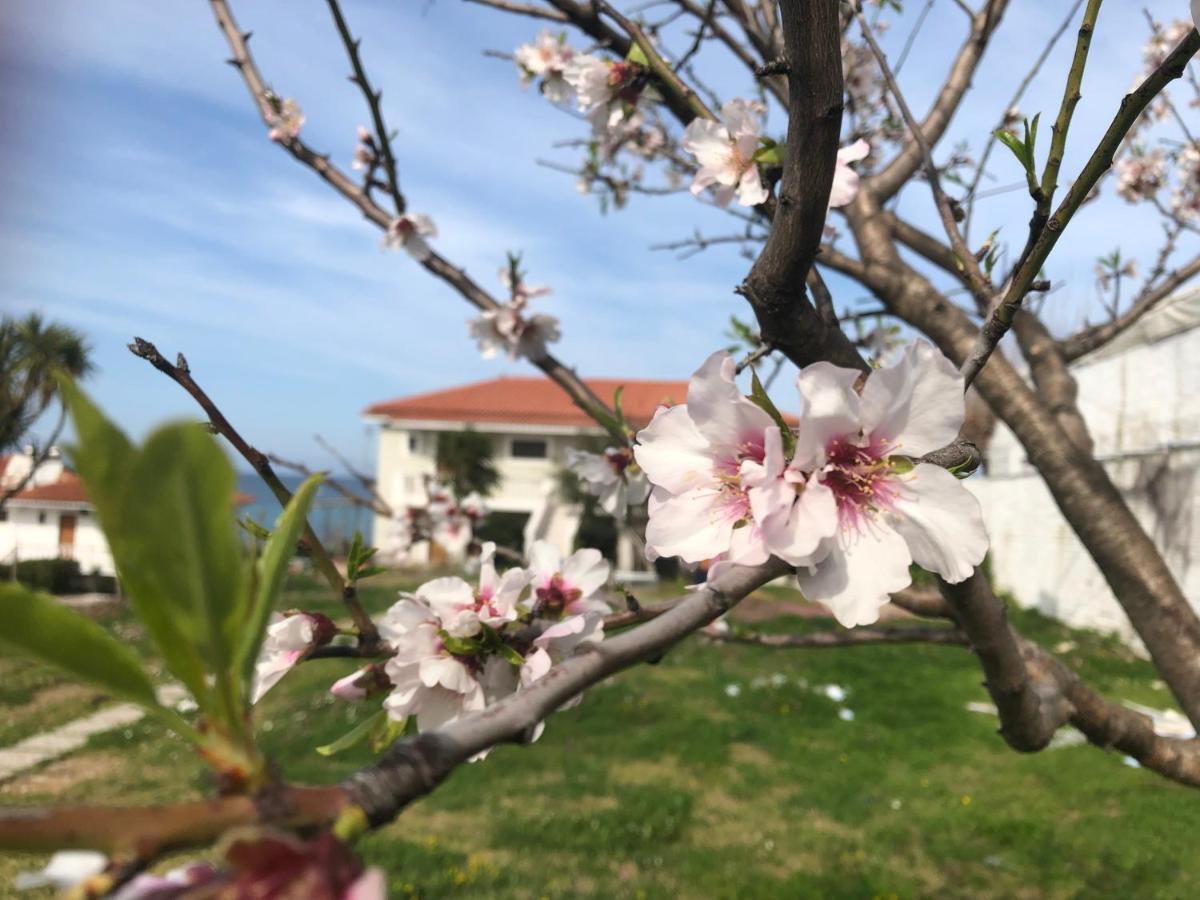 Diomare Villas Κυψέλη Εξωτερικό φωτογραφία